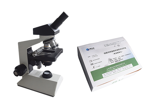 �׎���Ҏ(gu��)����ϵ�y(t��ng)